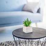 Equipe 6 A 8 Couchages Au Coeur De Apartment Béziers